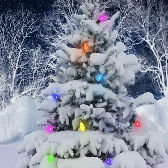 Meet your Posher, Erin - Picture 1 of 1